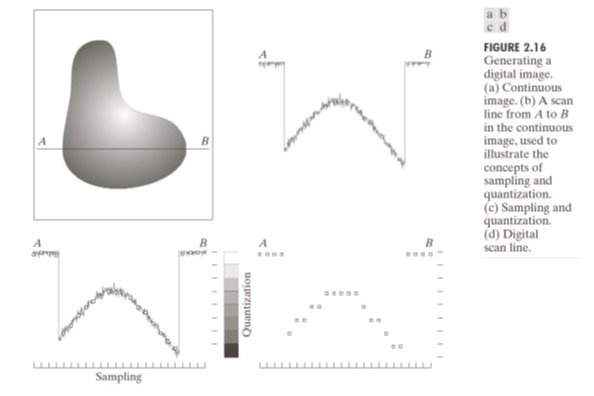 Sampling and quantization — continuous scan line converted to discrete pixels